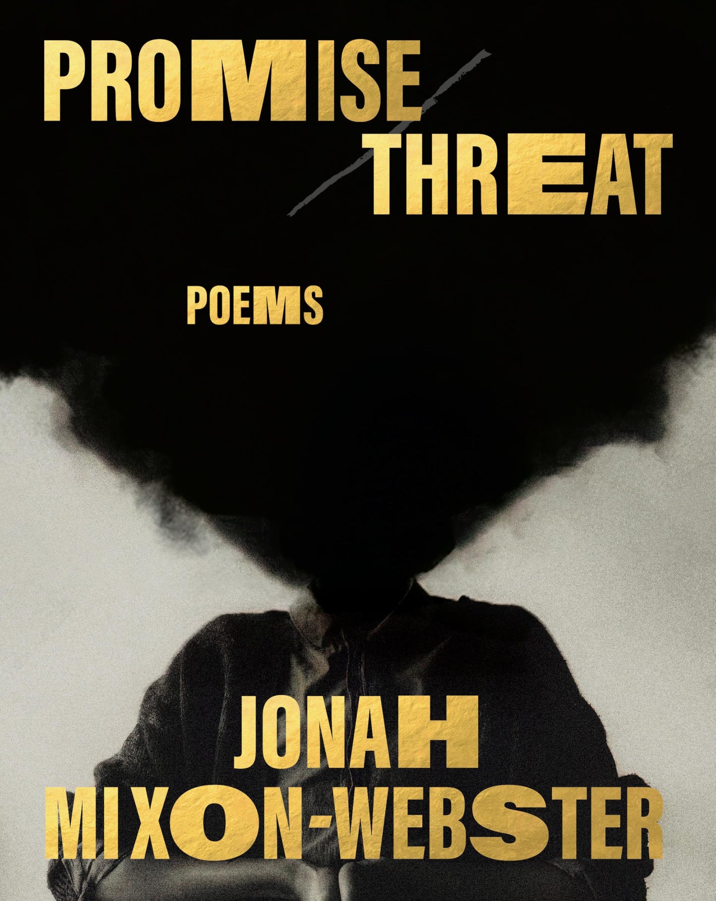 Promise/Threat book cover
