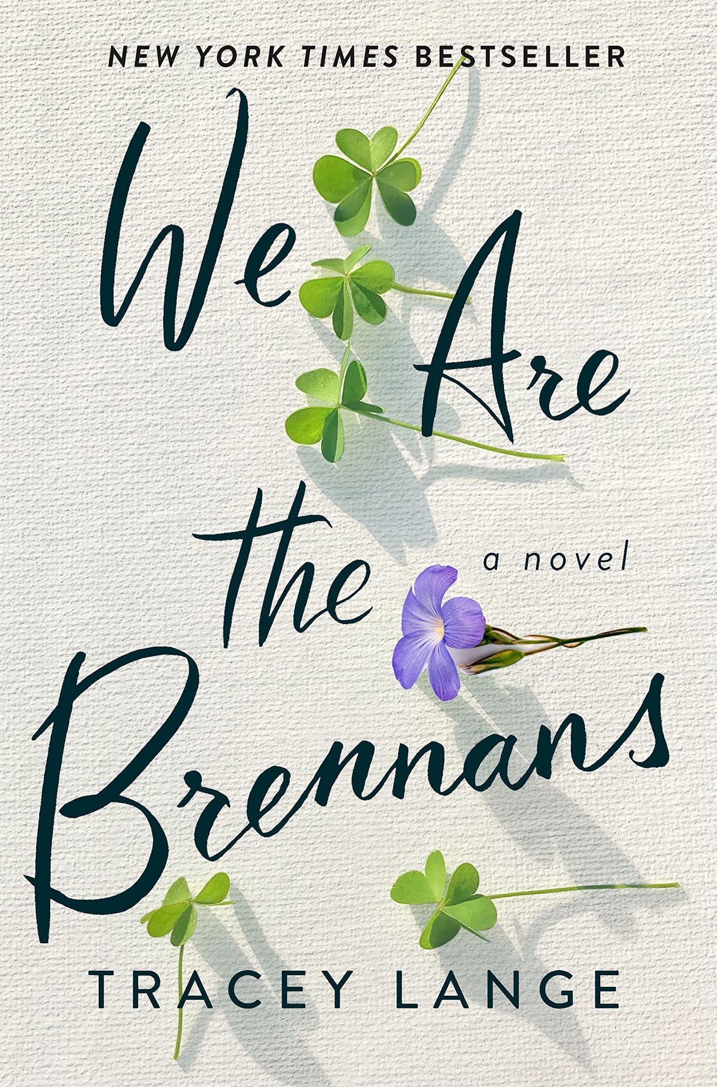We Are the Brennans book cover