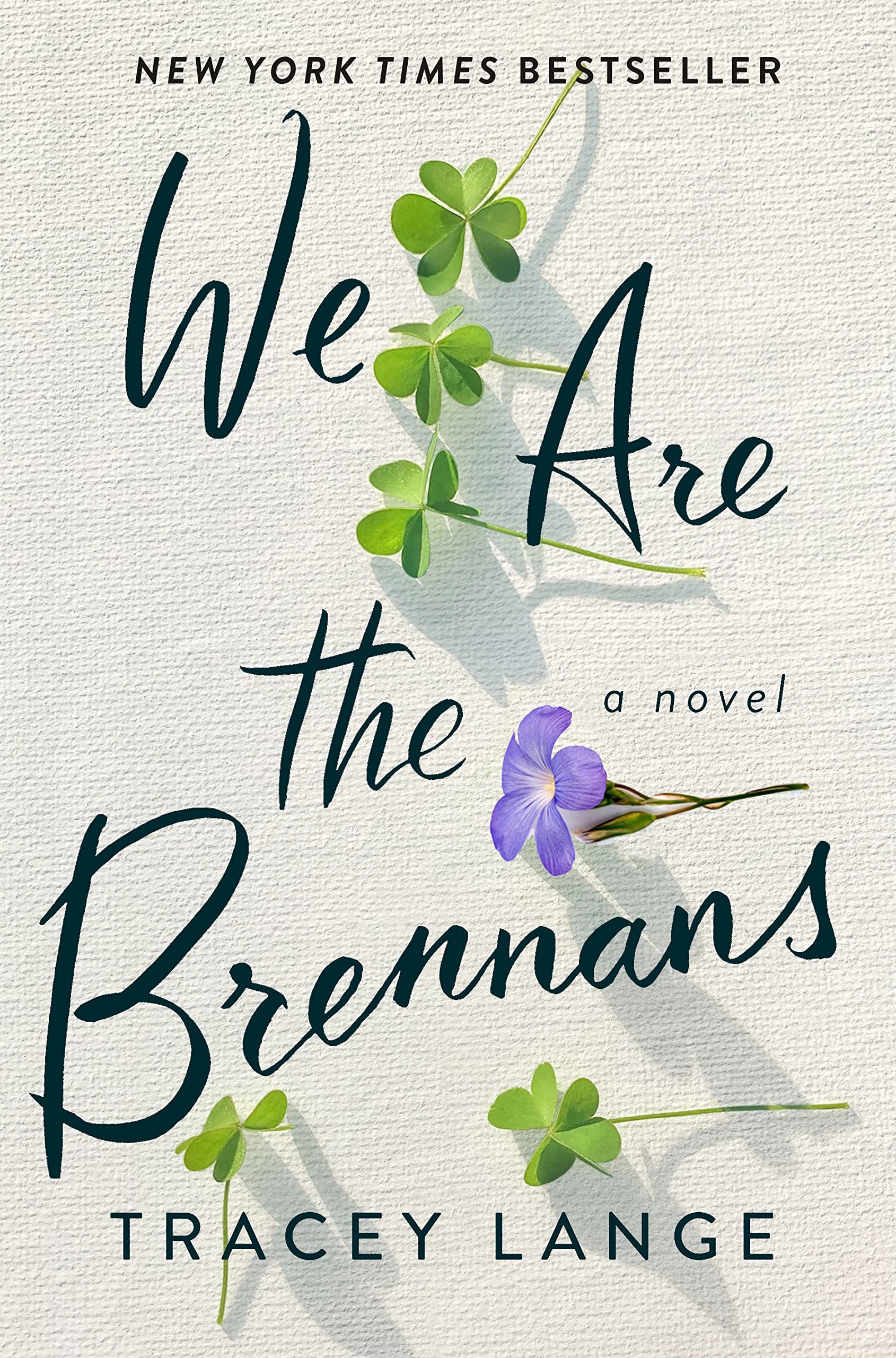We Are the Brennans book cover
