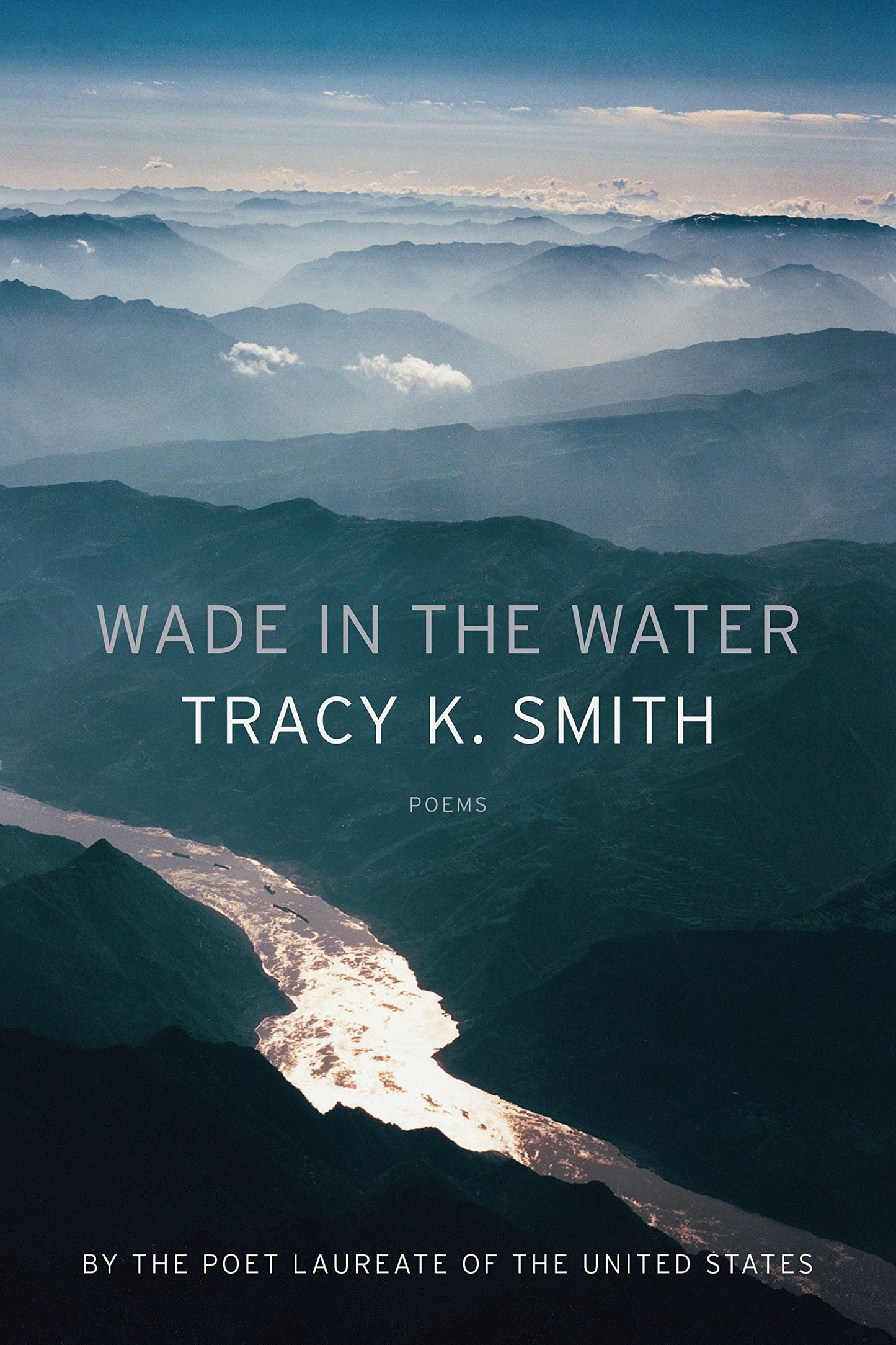 Wade in the Water: Poems book cover