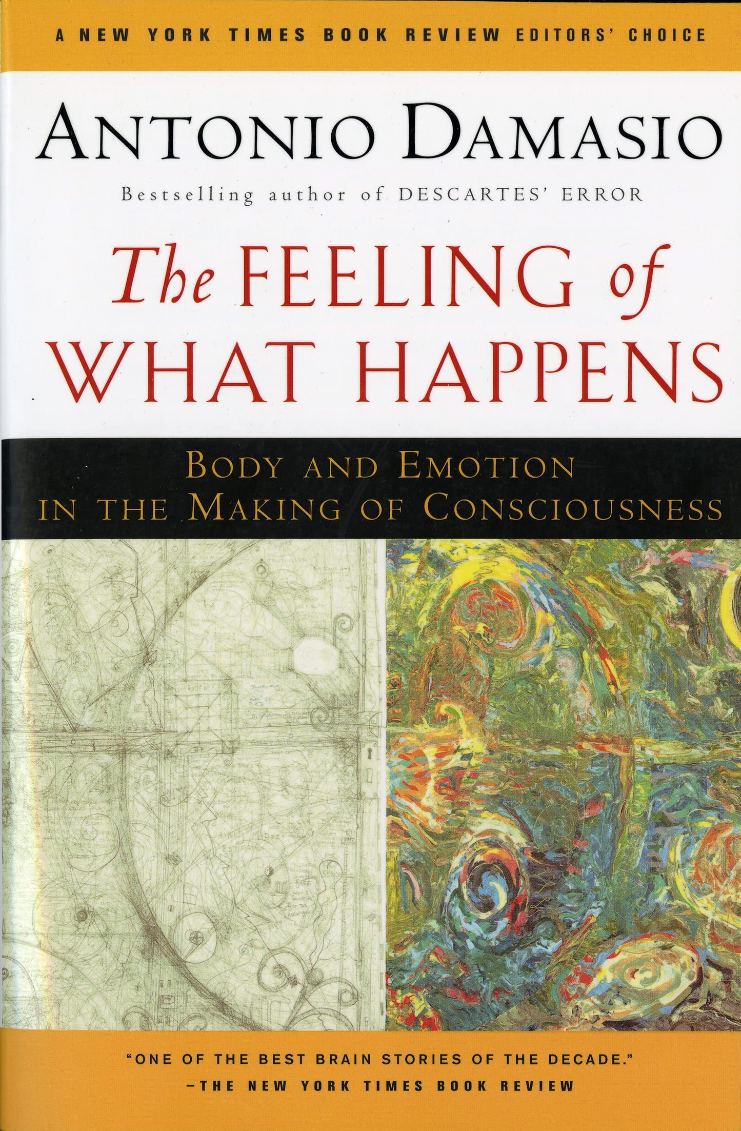 Feeling of What Happens: Body and Emotion in the Making of Consciousness book cover