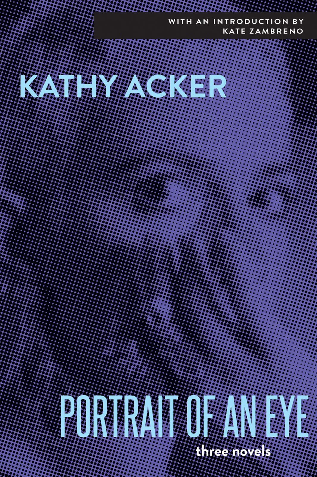 The Portrait of an Eye book cover