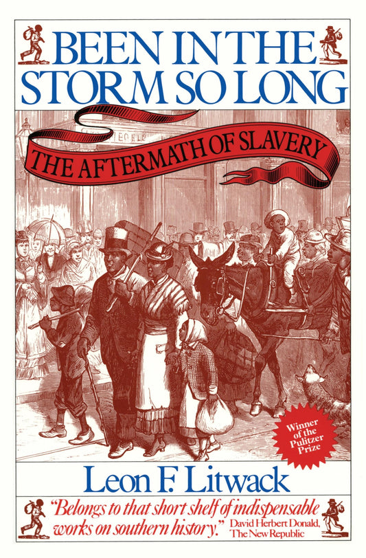 Been in the Storm So Long: The Aftermath of Slavery book cover