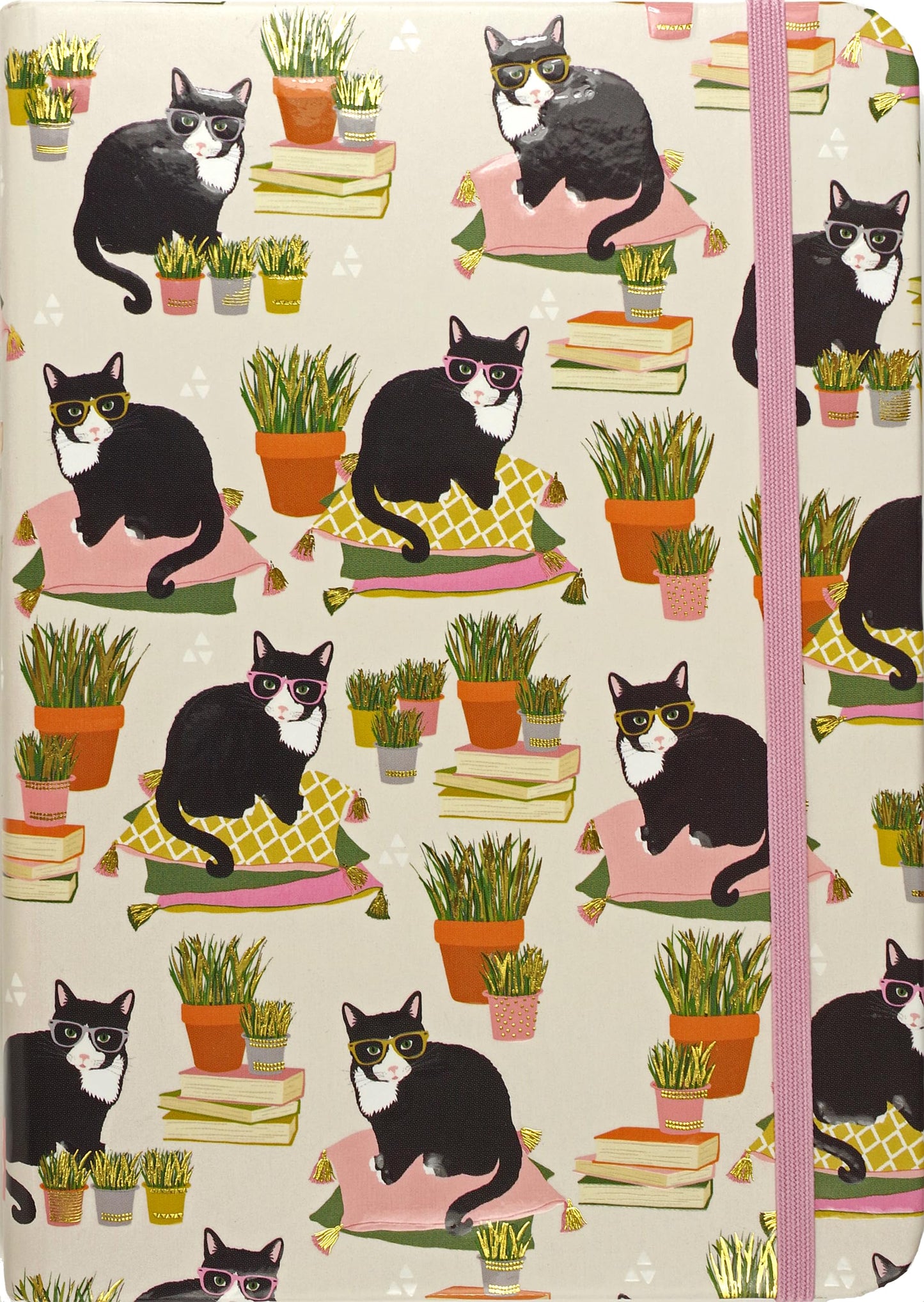 Smarty Cats Journal book cover