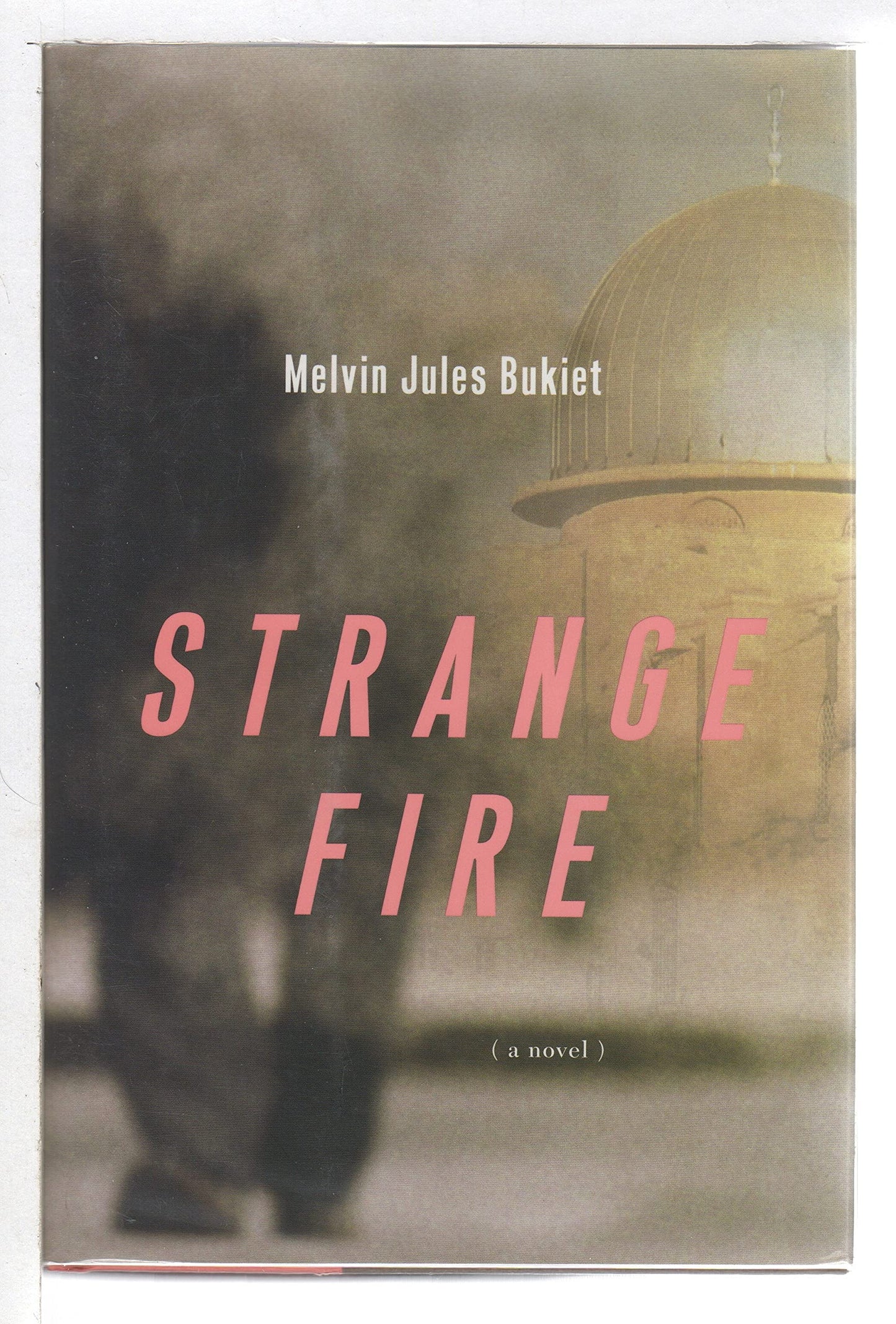 Strange Fire: A Novel