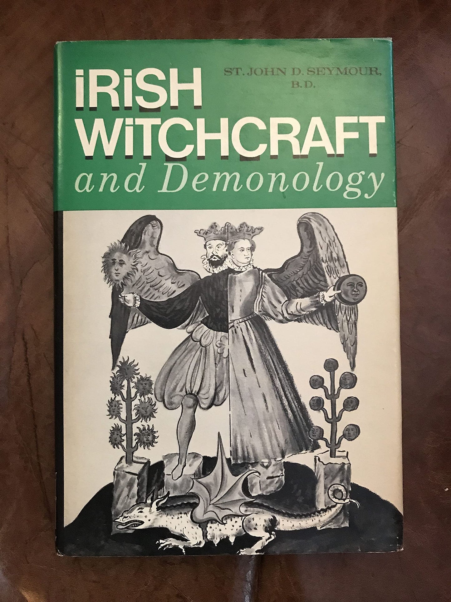 Irish witchcraft and demonology book cover