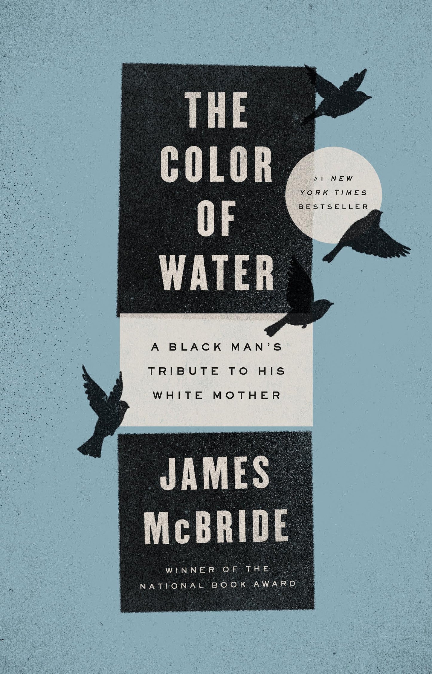 Color of Water: A Black Man's Tribute to His White Mother (Anniversary)