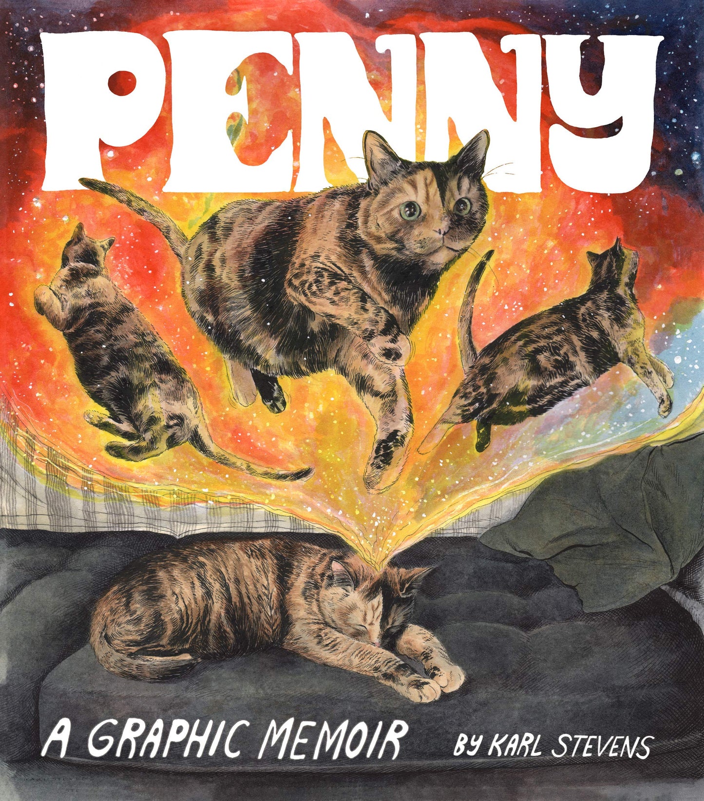 Penny book cover