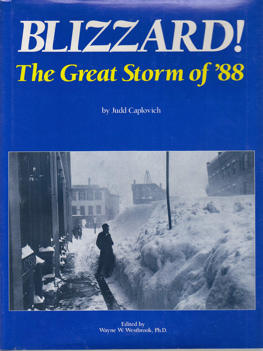 Blizzard: The Great Storm of 88