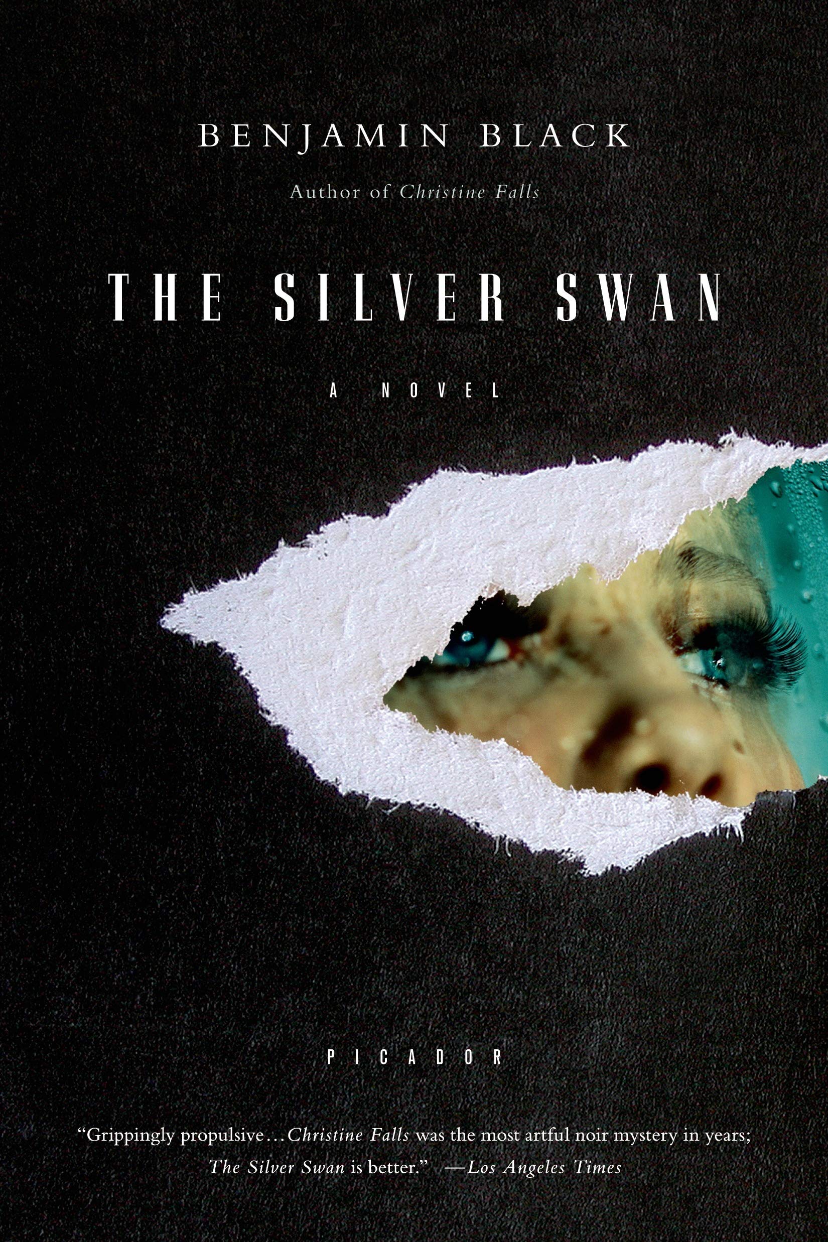 Silver Swan book cover