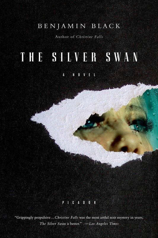 Silver Swan book cover