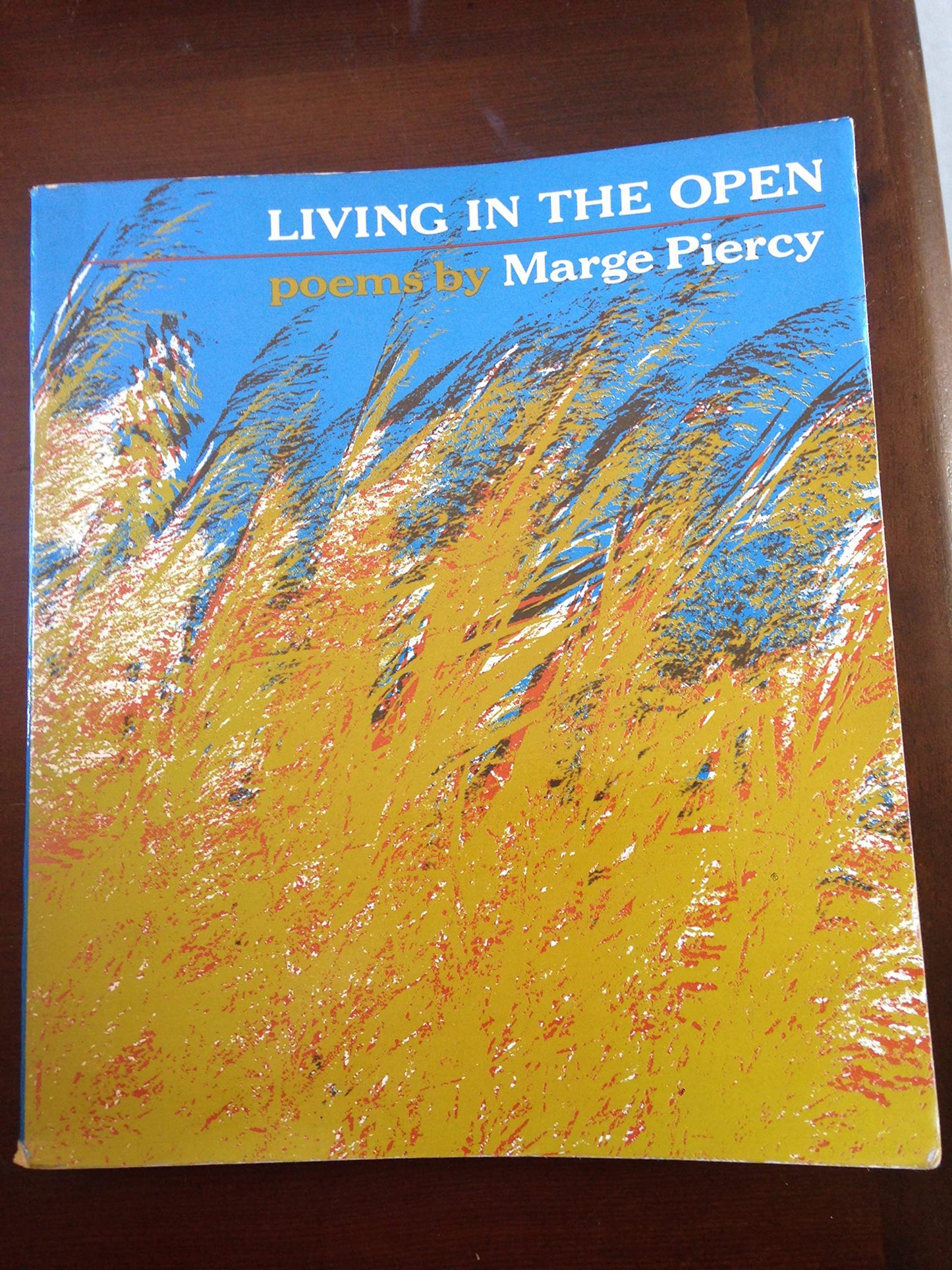 Living in the Open book cover