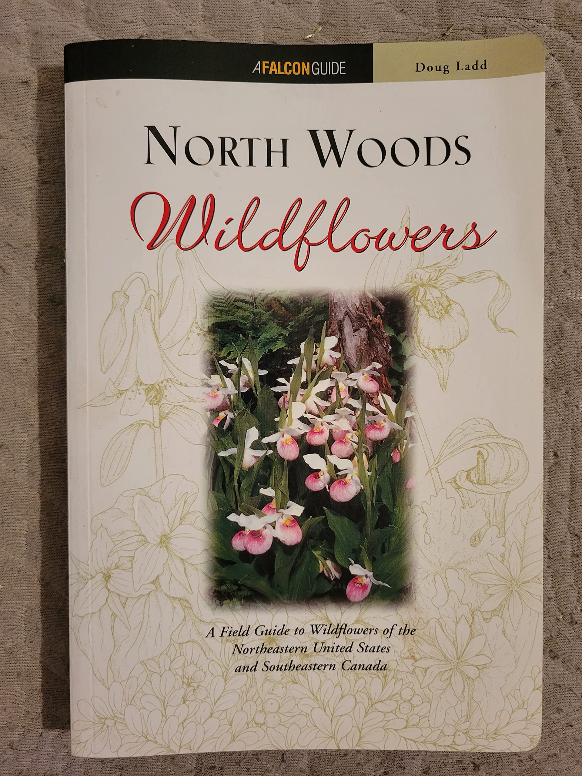 North Woods Wildflowers book cover