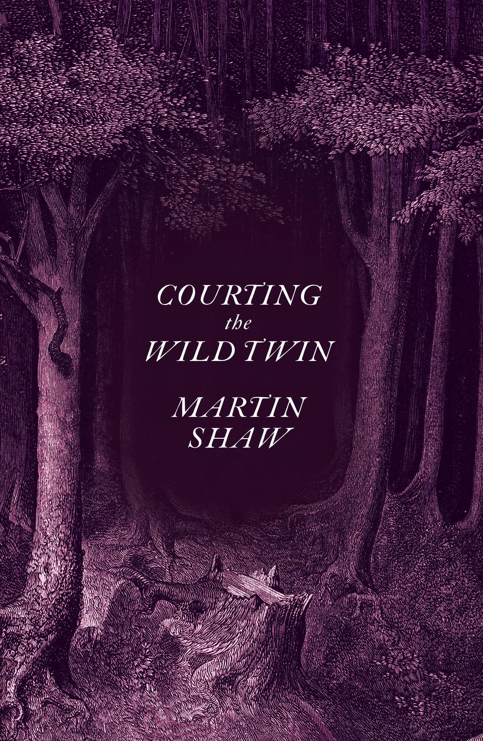 Courting the Wild Twin book cover
