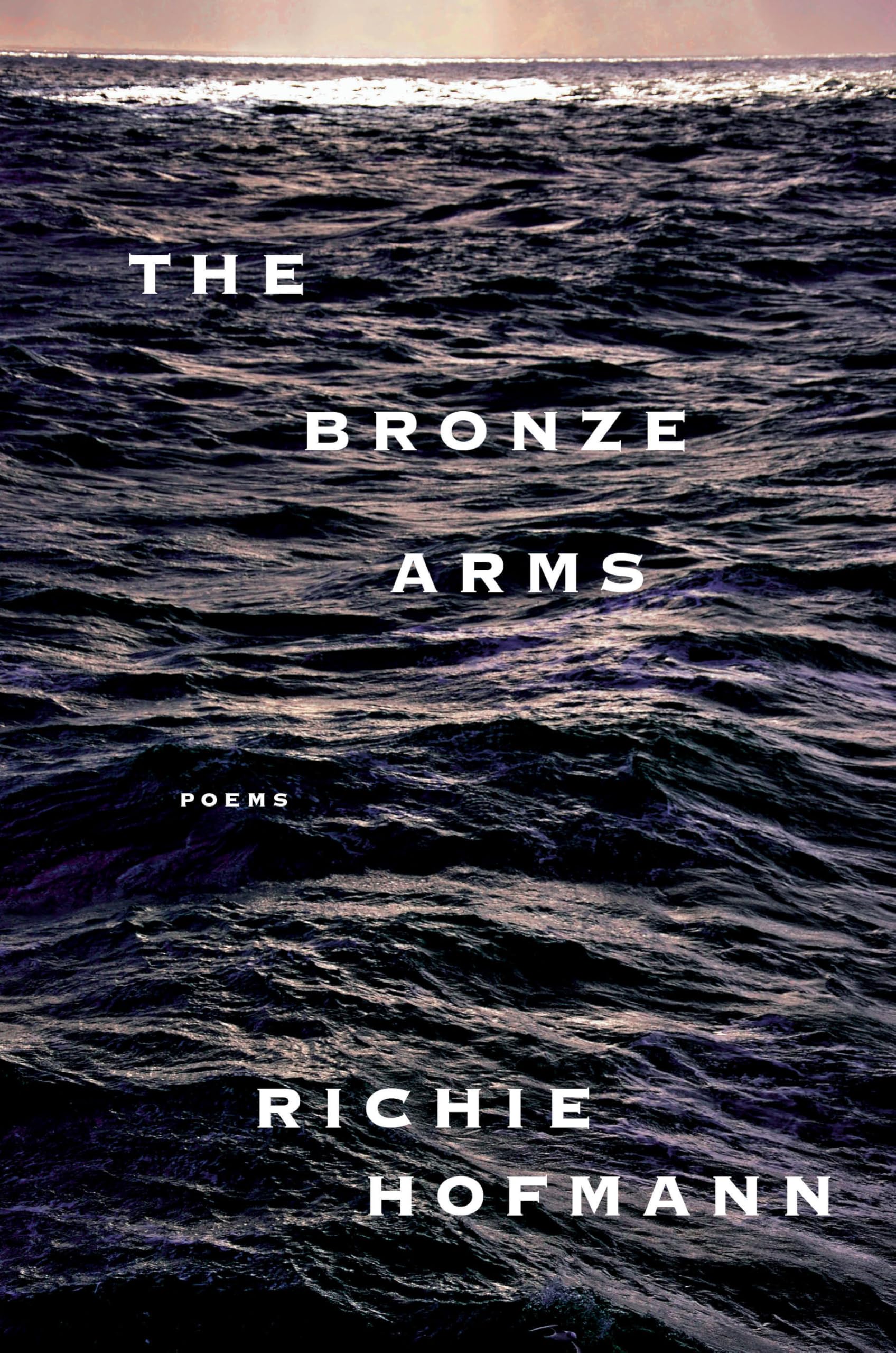The Bronze Arms book cover