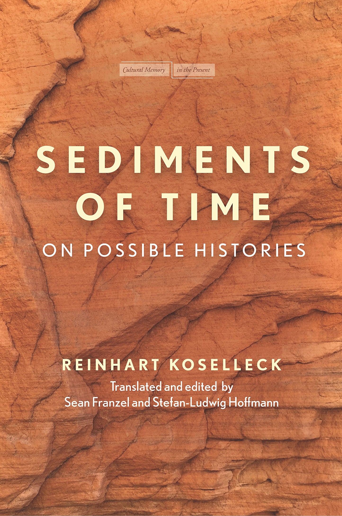 Sediments of Time: On Possible Histories book cover