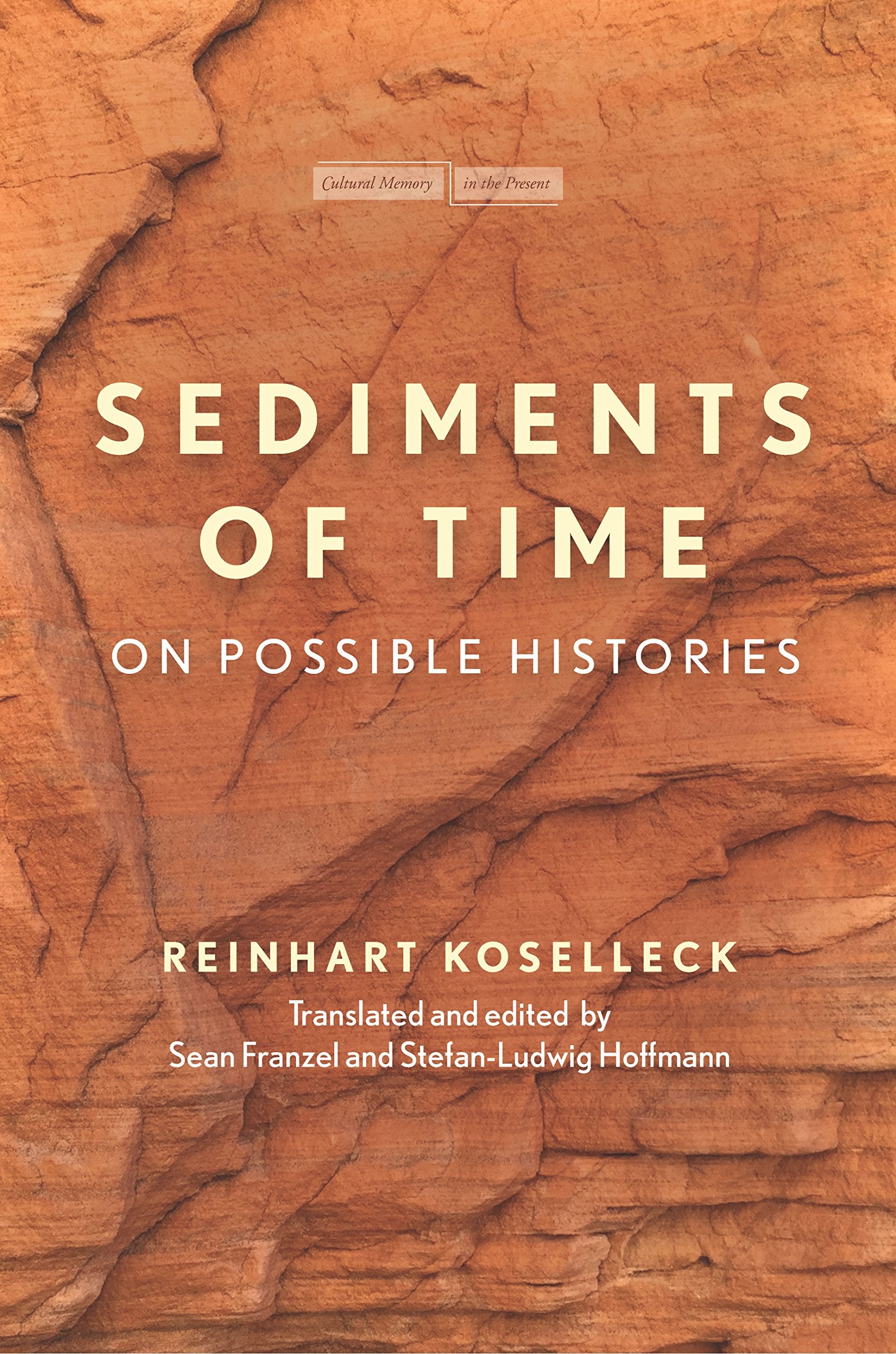 Sediments of Time: On Possible Histories book cover
