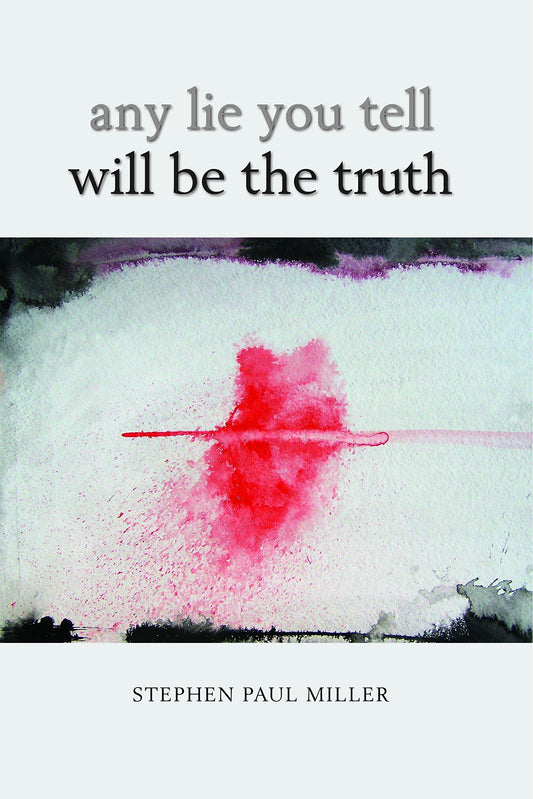 Any Lie You Tell Will Be the Truth book cover