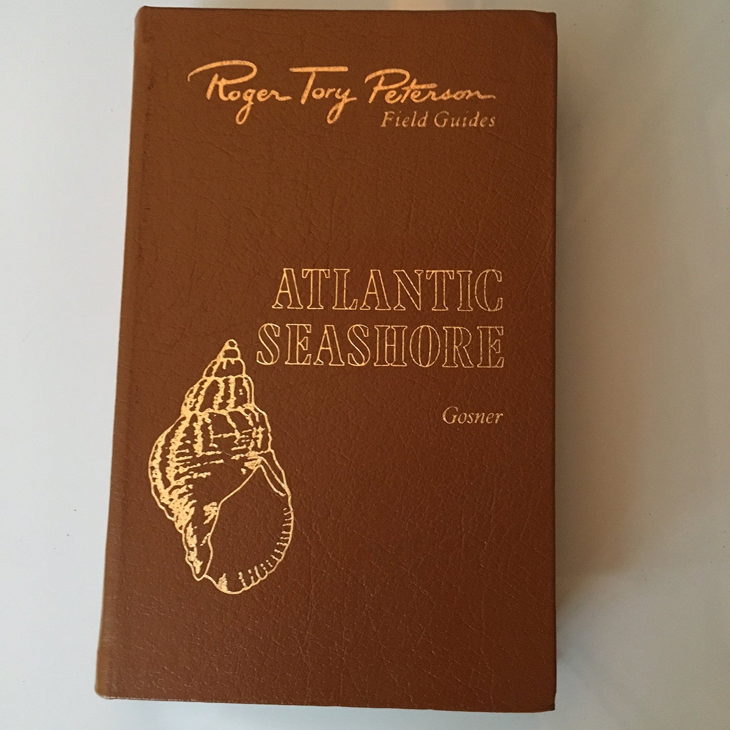 Field Guide to the Atlantic Seashore: From the Bay of Fundy to Cape Hatteras