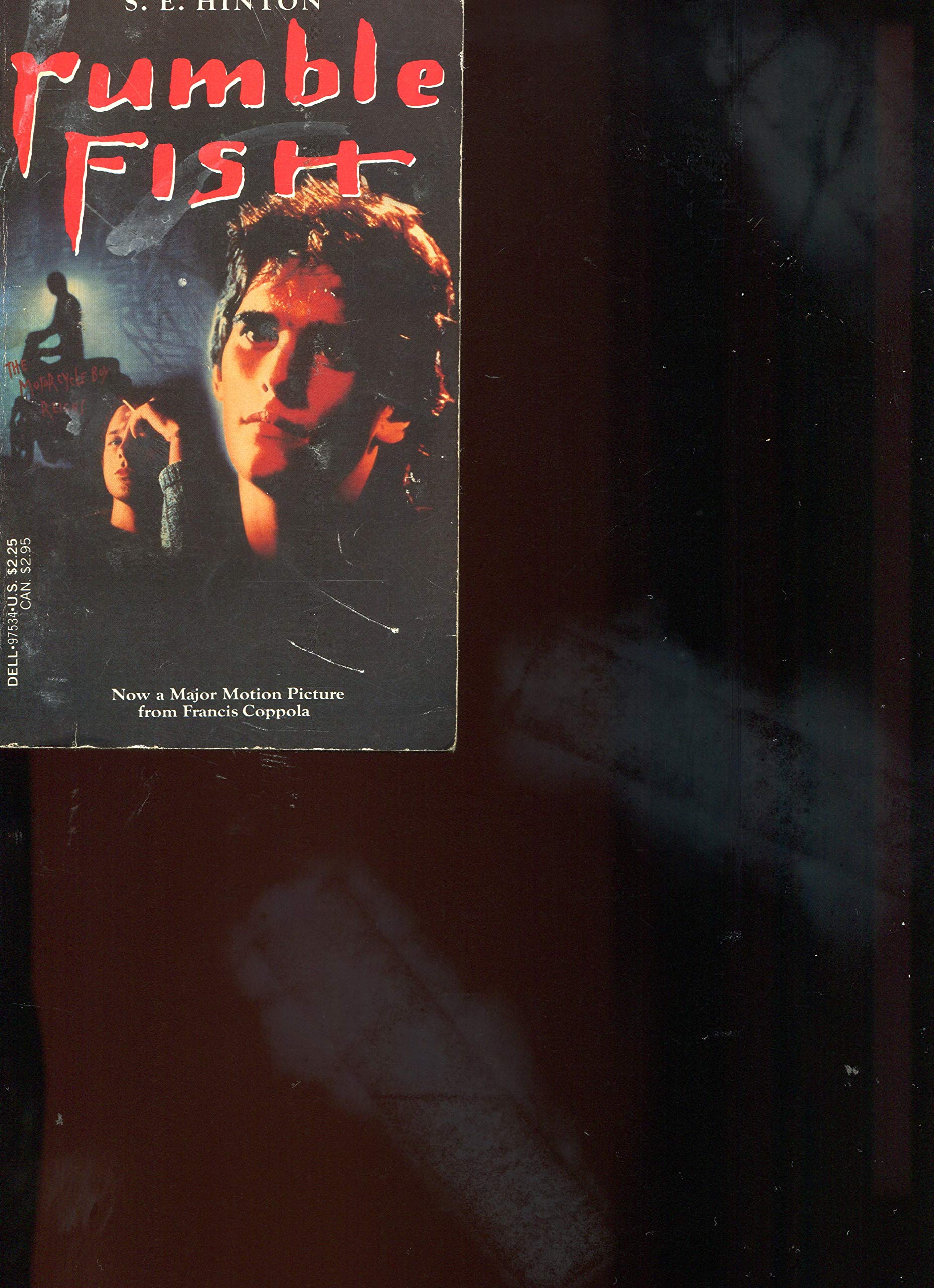 Rumble Fish book cover