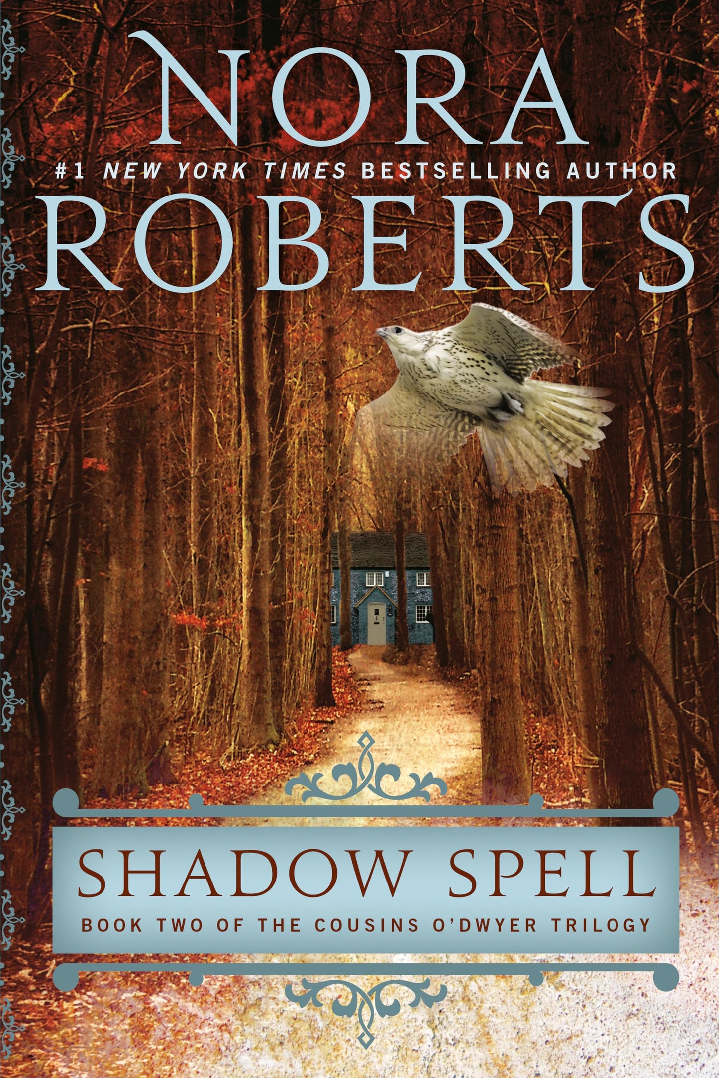 Shadow Spell book cover