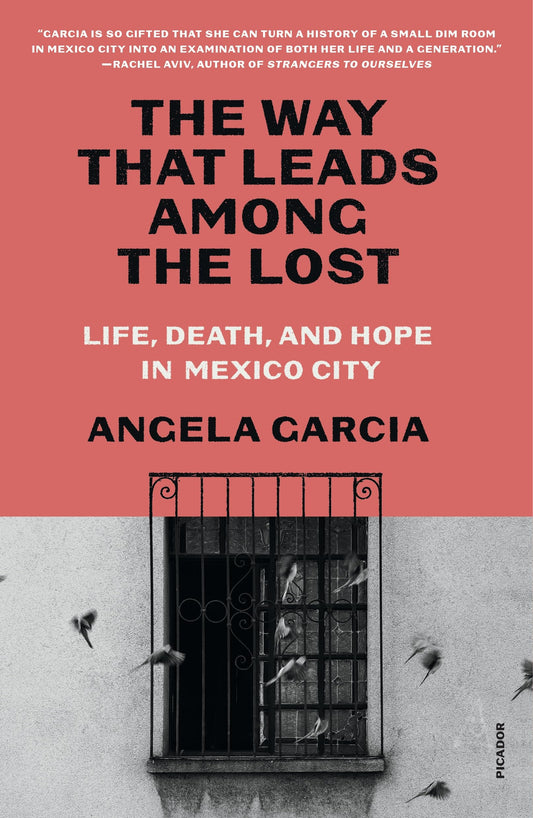 The Way That Leads Among the Lost book cover