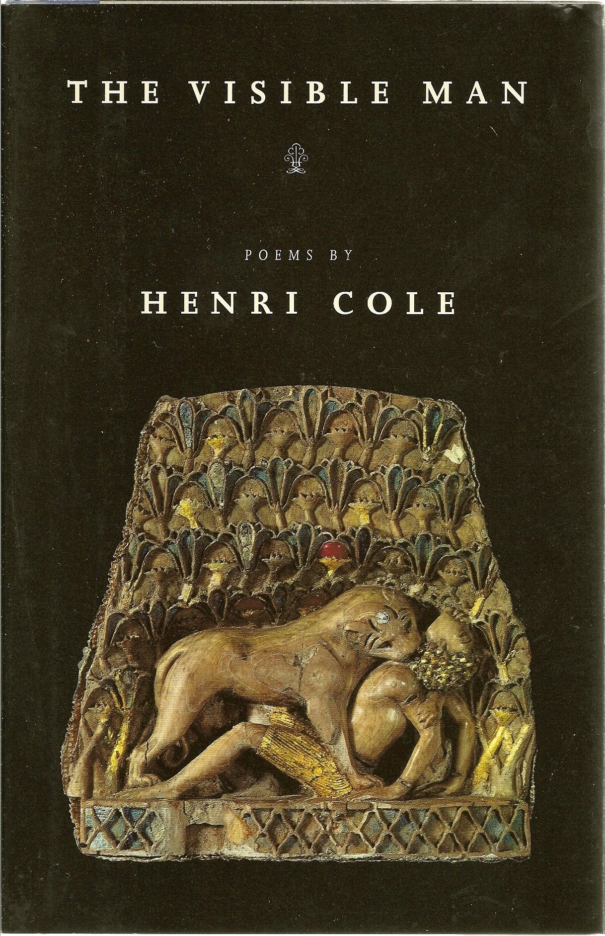 Visible Man: Poems book cover