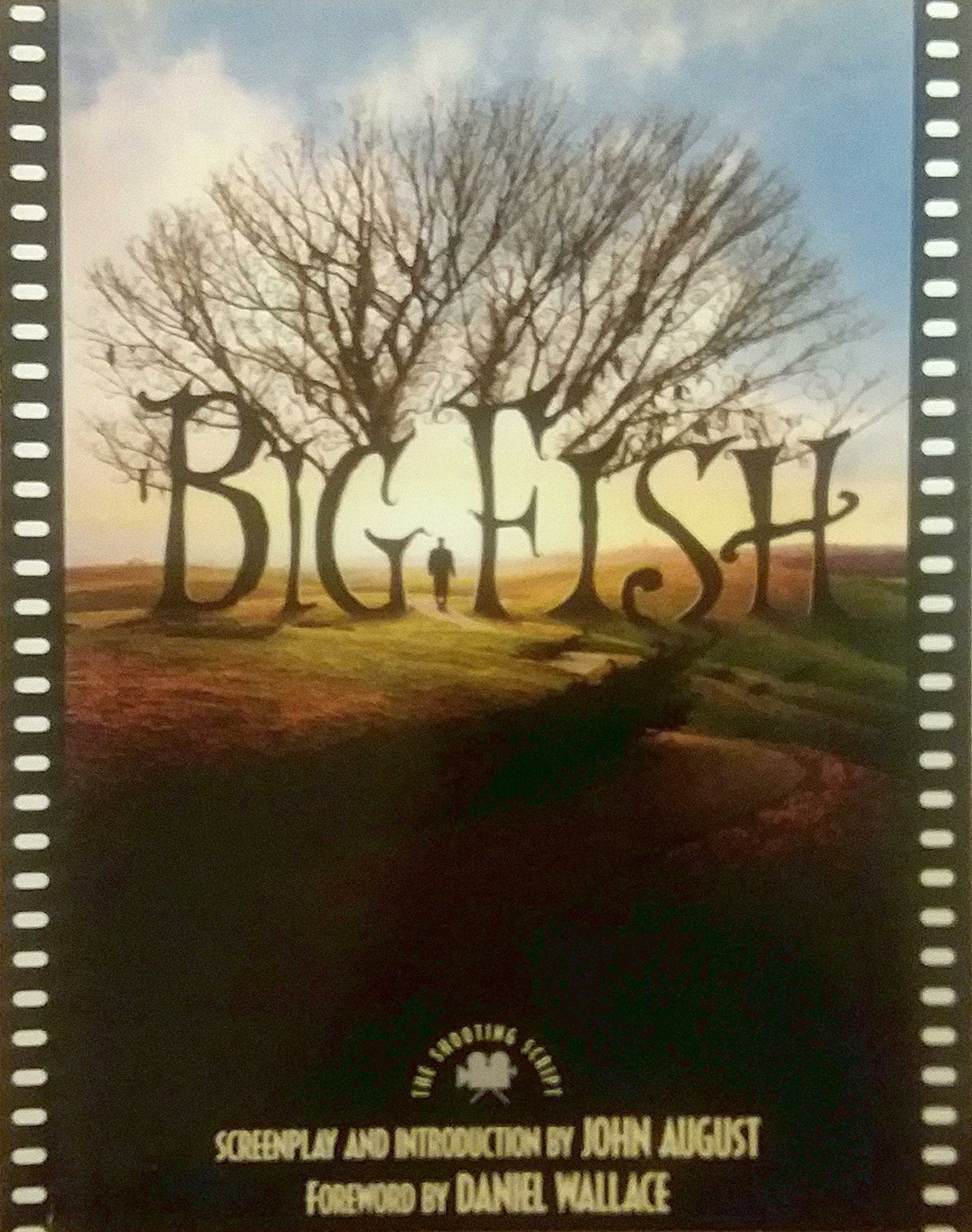 Big Fish: A Novel of Mythic Proportions book cover
