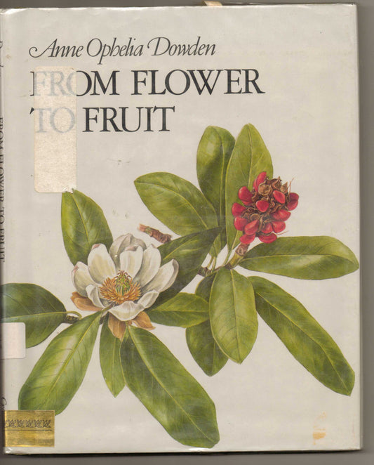 From Flower to Fruit