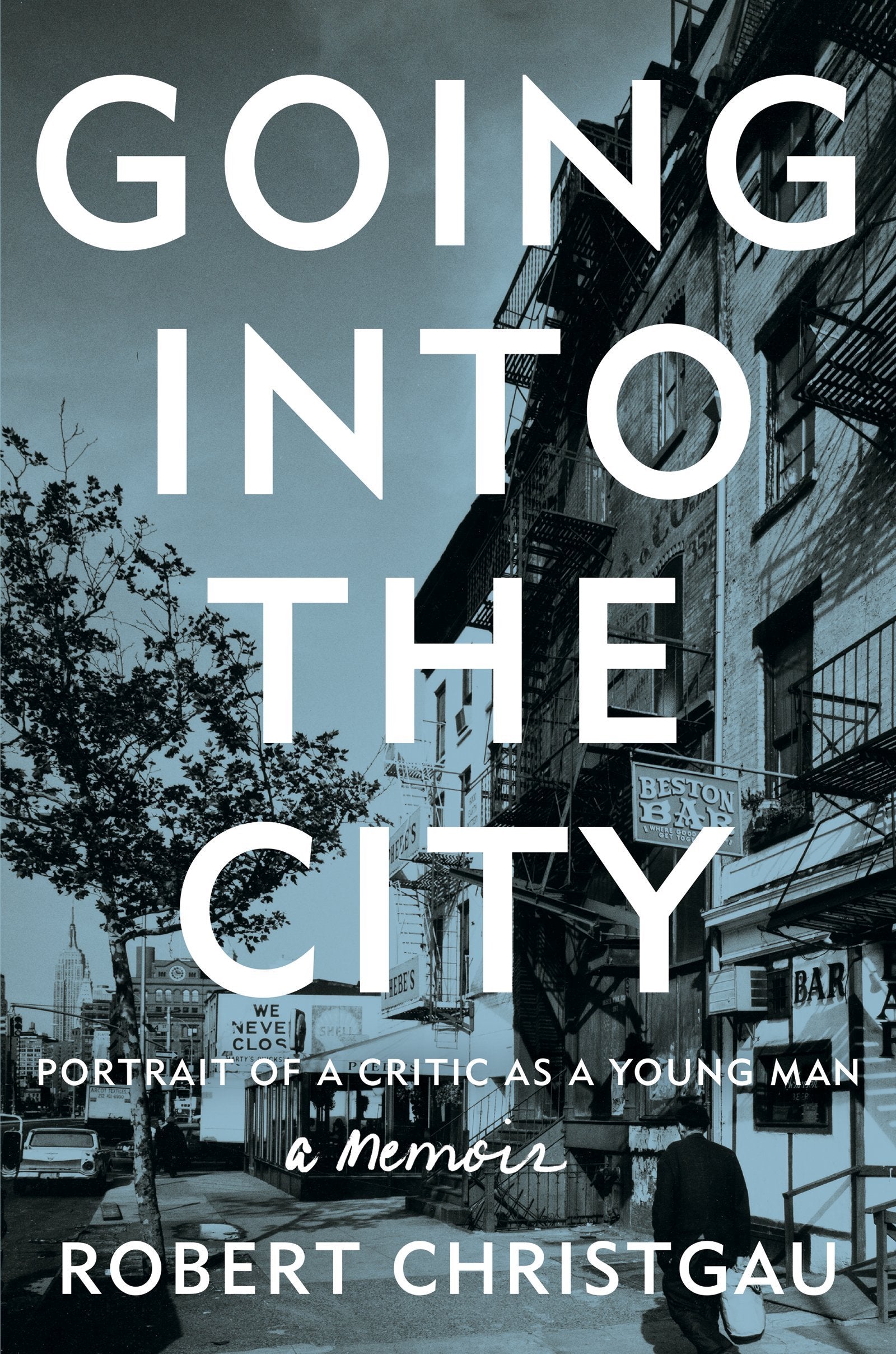 Going Into the City: Portrait of a Critic as a Young Man book cover