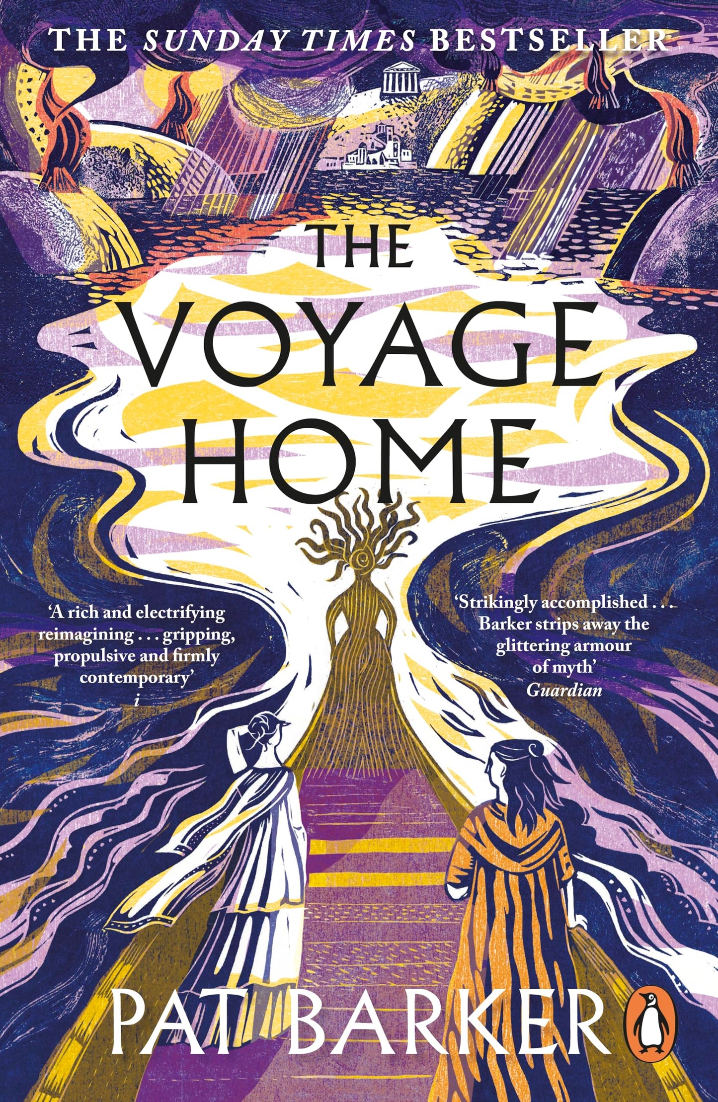 Voyage Home book cover