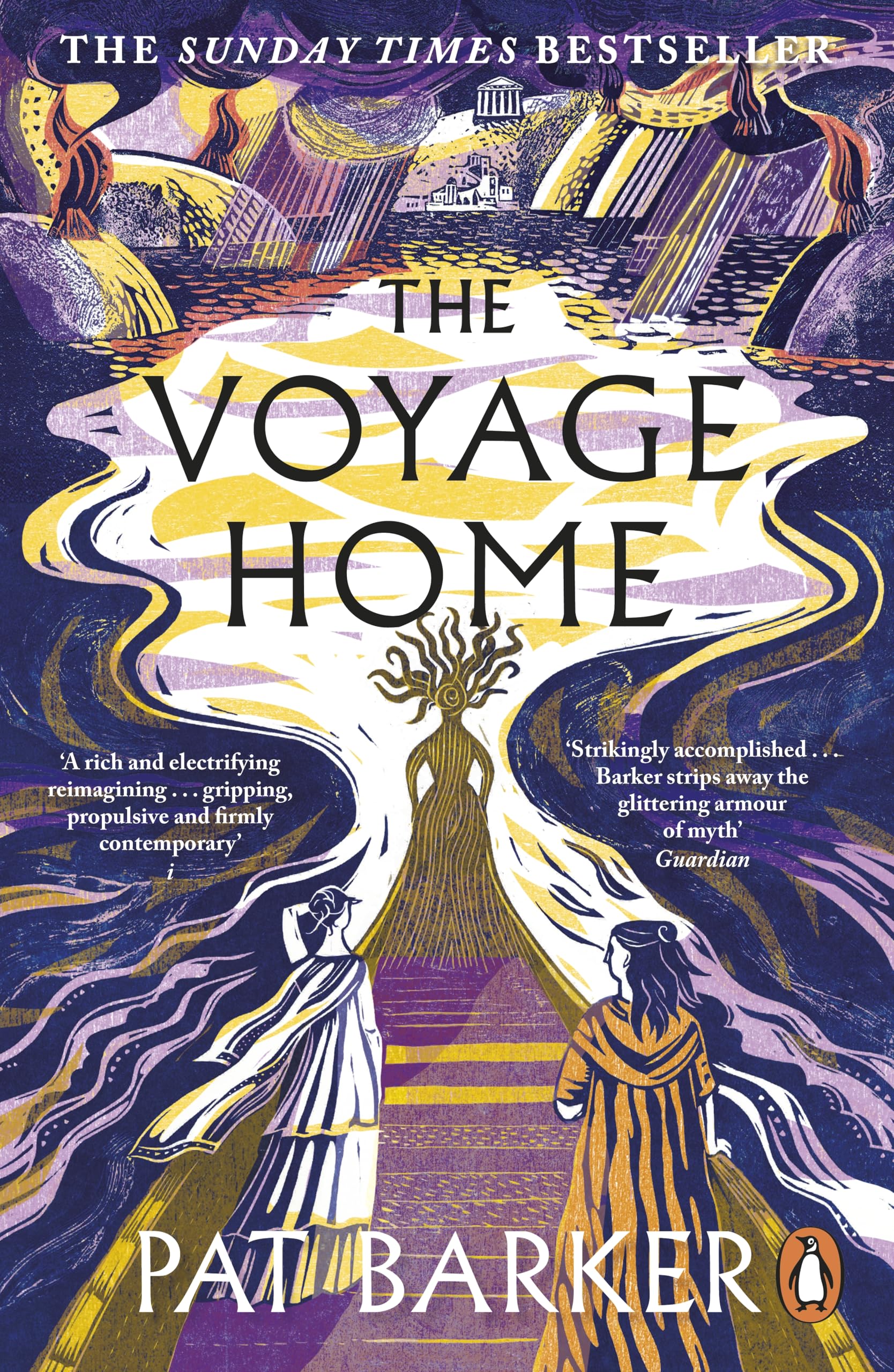 Voyage Home book cover