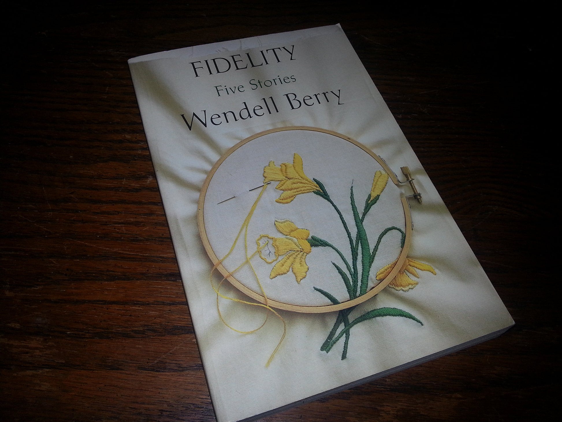 Fidelity: Five Stories book cover