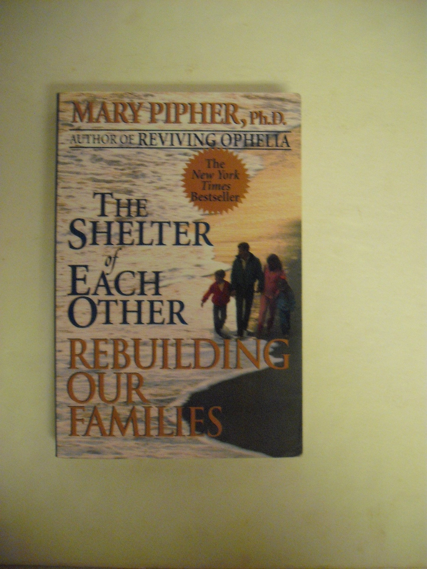 Shelter of Each Other: Rebuilding Our Families