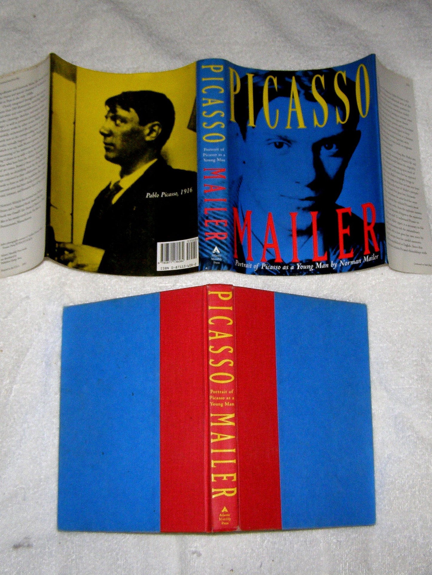 Portrait of Picasso as a Young Man: An Interpretative Biography book cover