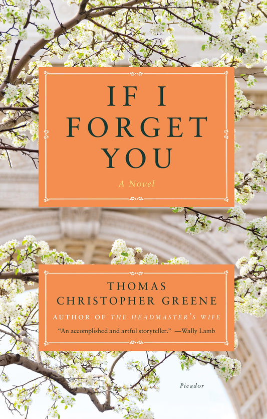 If I Forget You book cover