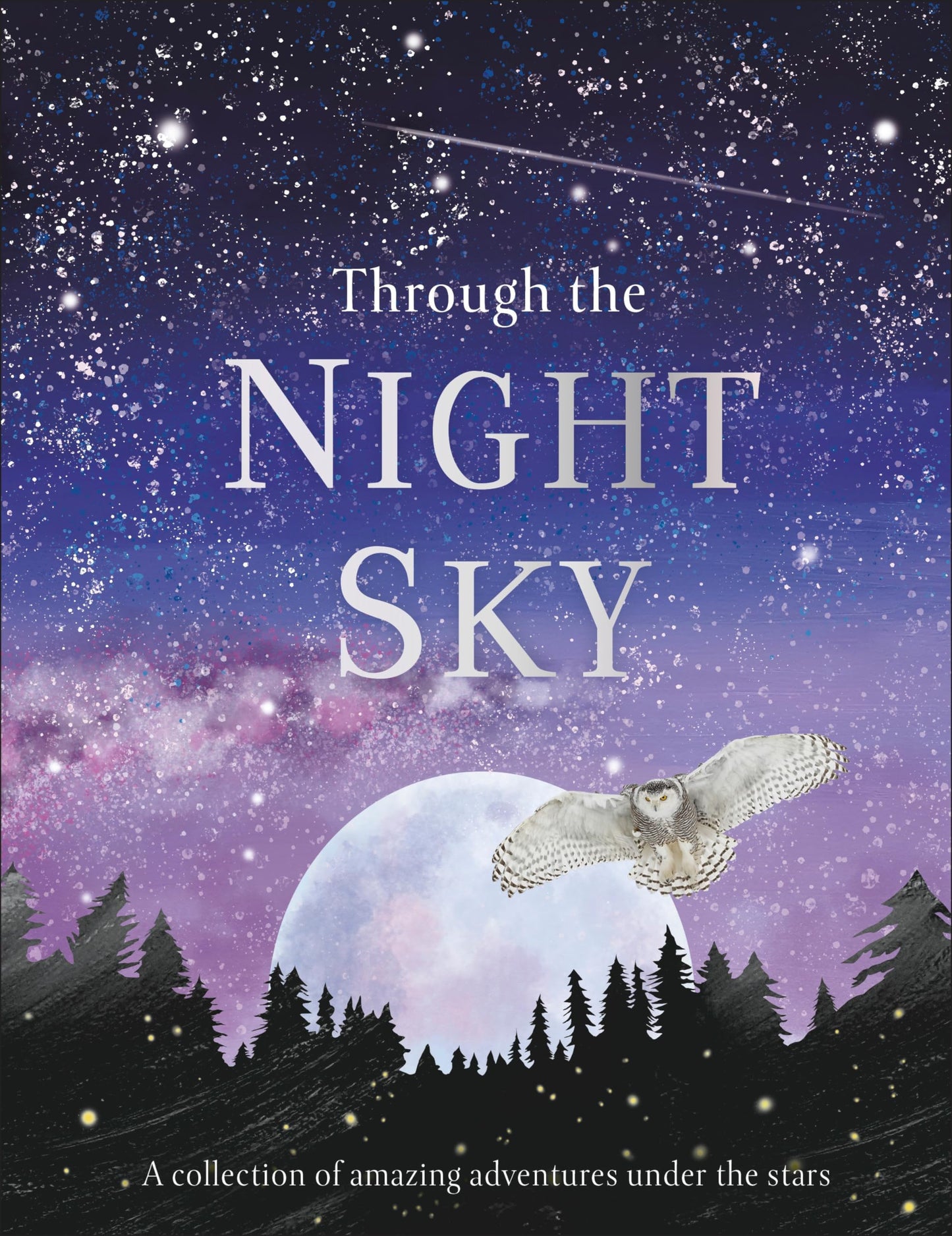 Through the Night Sky: A Collection of Amazing Adventures Under the Stars book cover