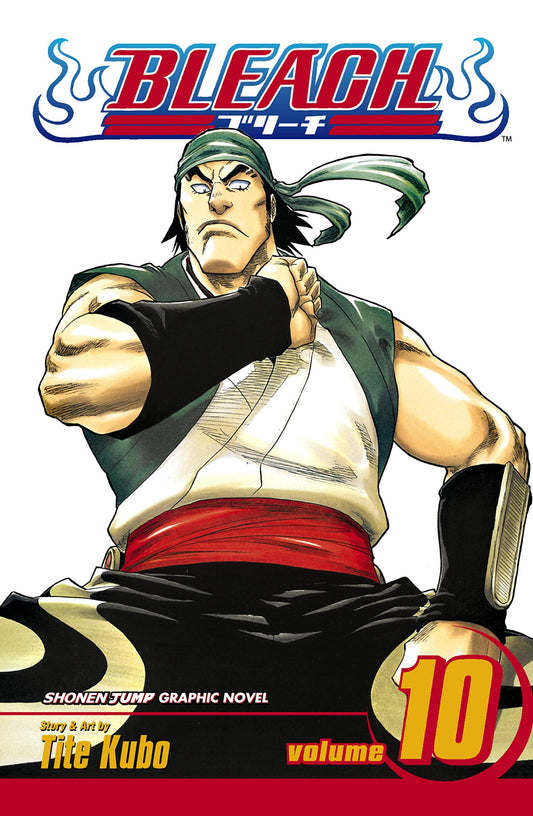 Bleach, Vol. 10 book cover