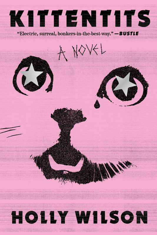 Kittentits book cover