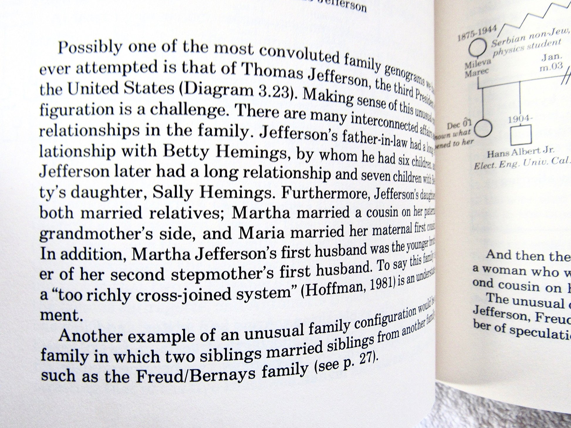 Genograms in Family Assessment book cover