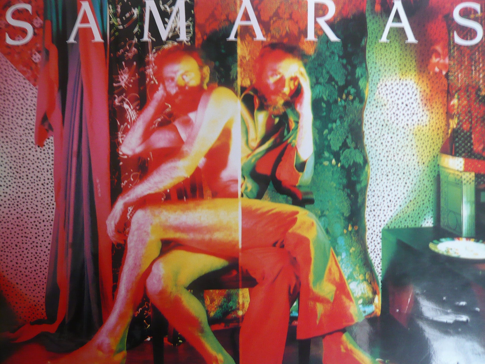Samaras book cover