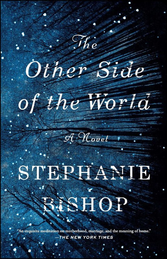 Other Side of the World book cover
