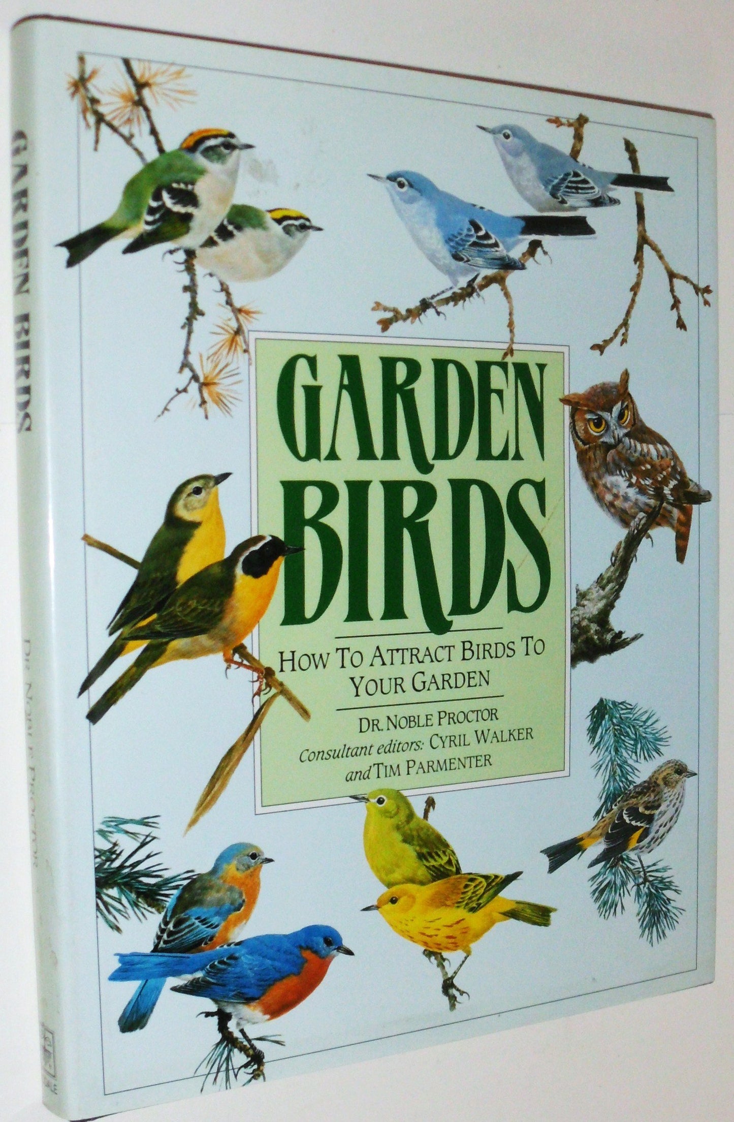 Garden Birds: How to Attract Birds to Your Garden book cover