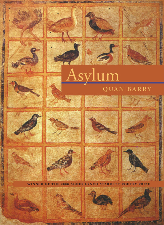 Asylum book cover