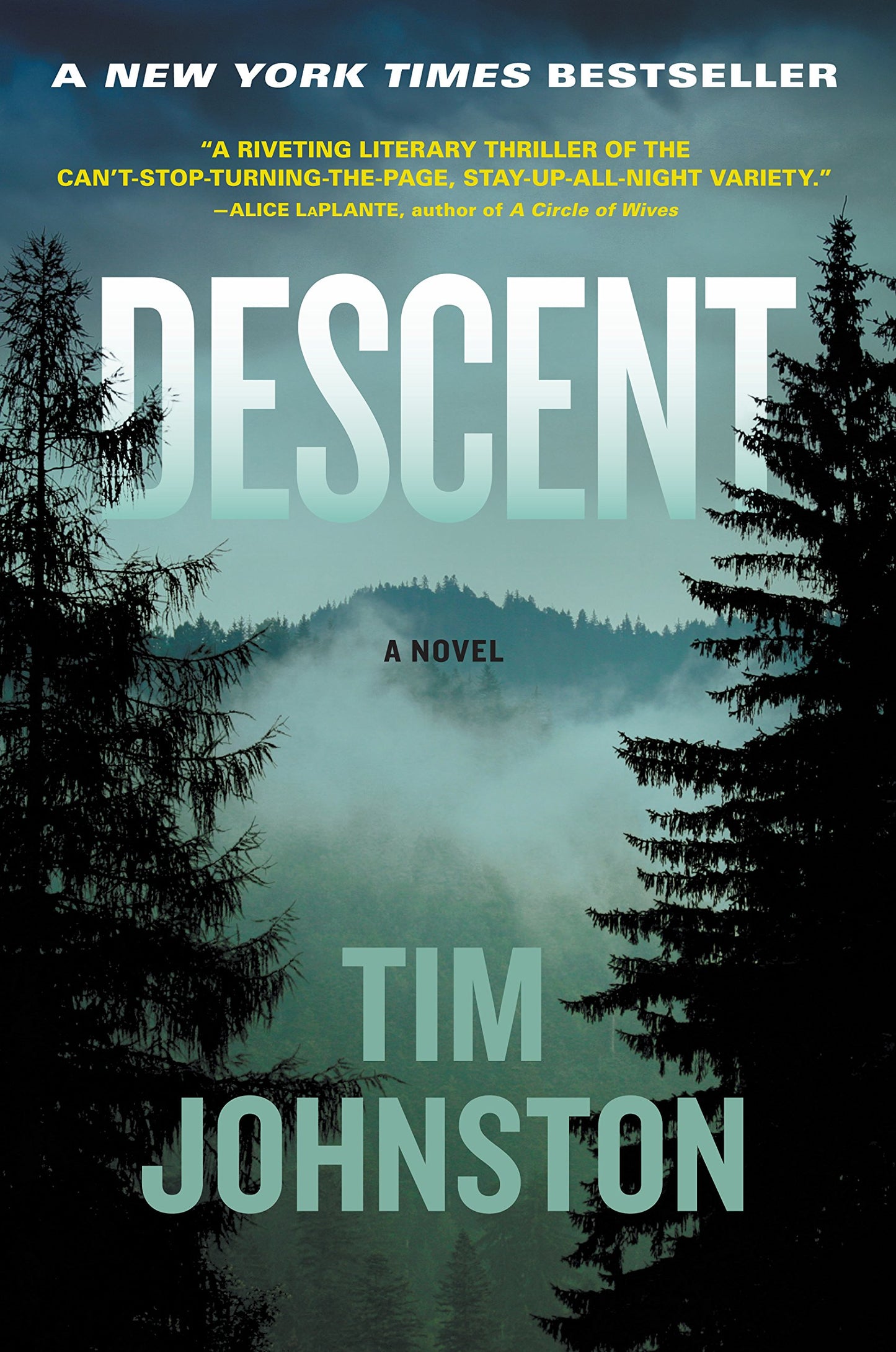 Descent book cover