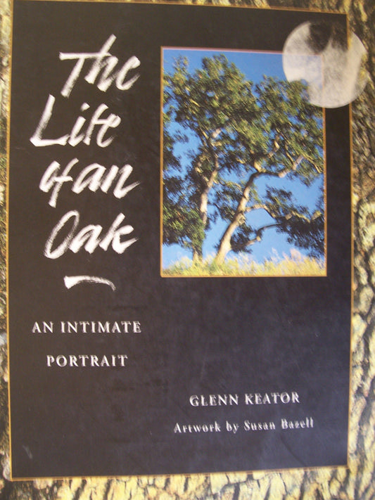 Life of an Oak: An Intimate Portrait