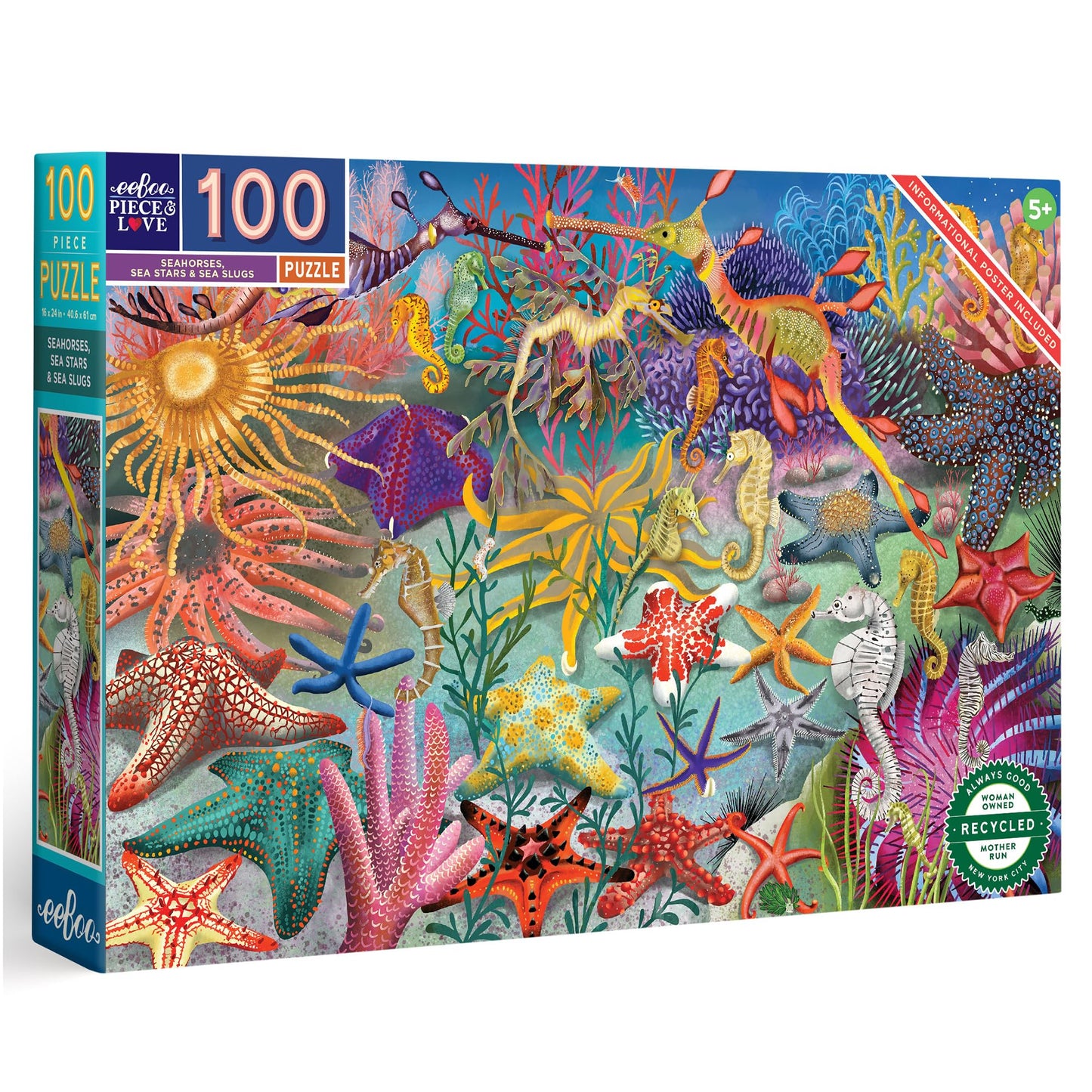 Seahorses, Sea Stars & Sea Slugs 100 Piece Puzzle book cover