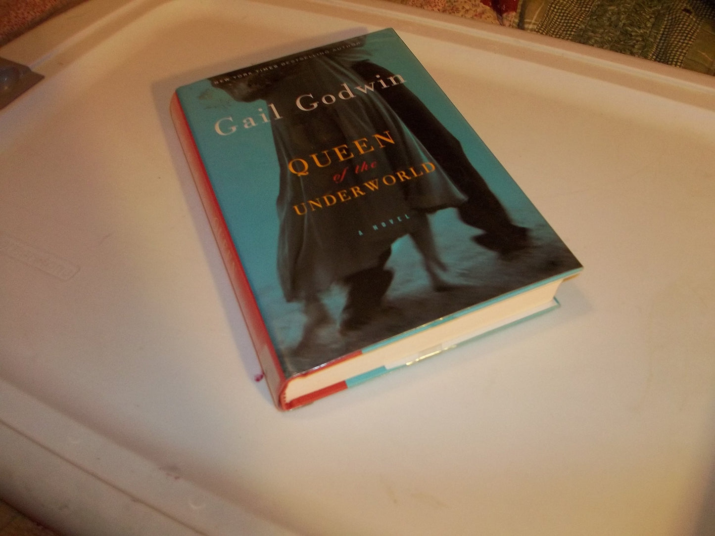 Queen of the Underworld book cover