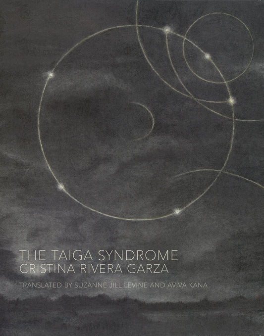 Taiga Syndrome book cover