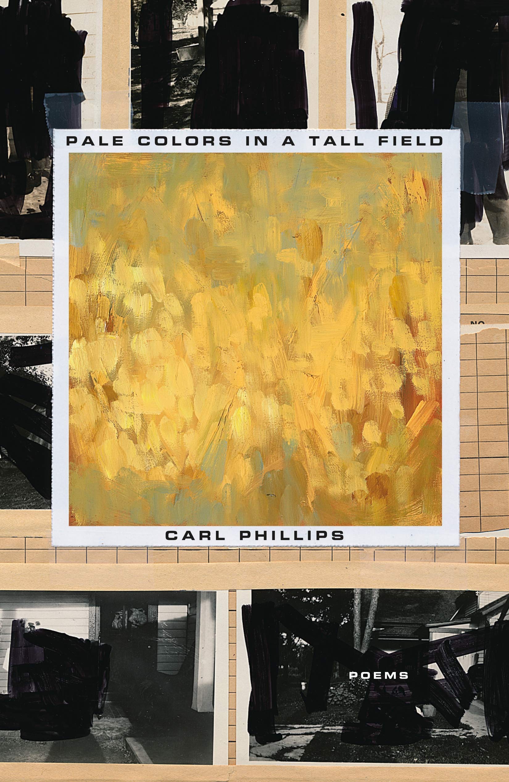 Pale Colors in a Tall Field: Poems book cover